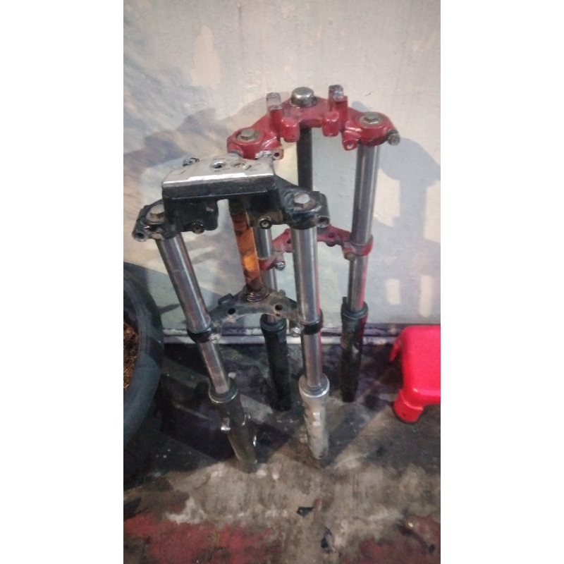 skok tiger ori copotan