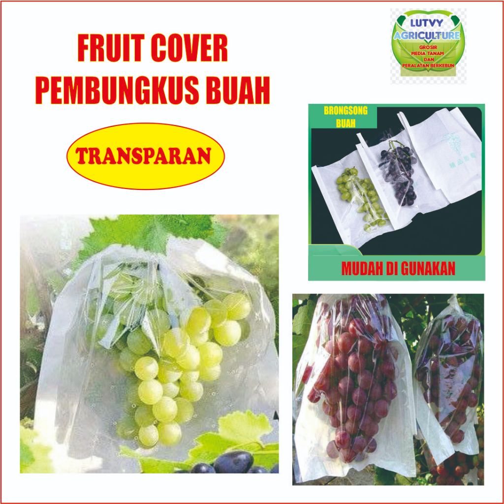 FRUIT COVER / BRONGSONG BUAH TRANSPARAN