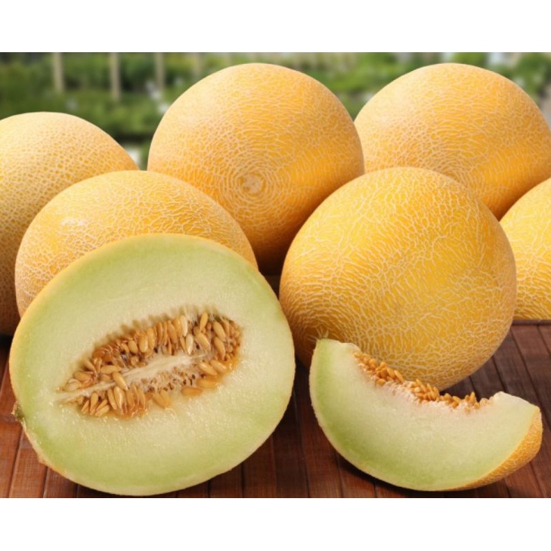 

12.12 FLASH SALE melon !!!