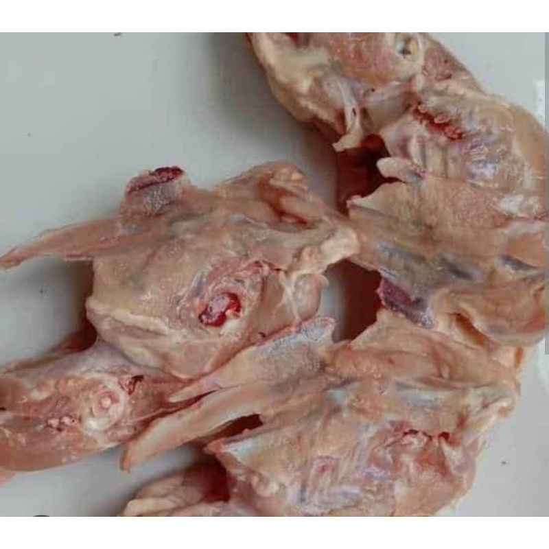 

Kerongkongan/kg (Fresh)