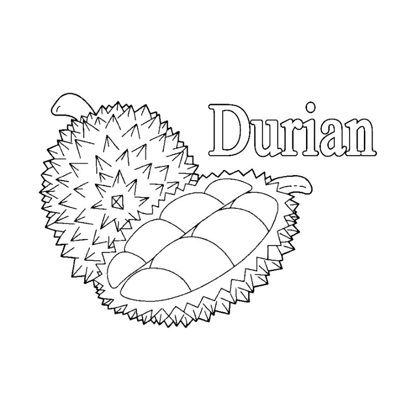 

Buku / lembar kertas mewarnai gambar buah durian