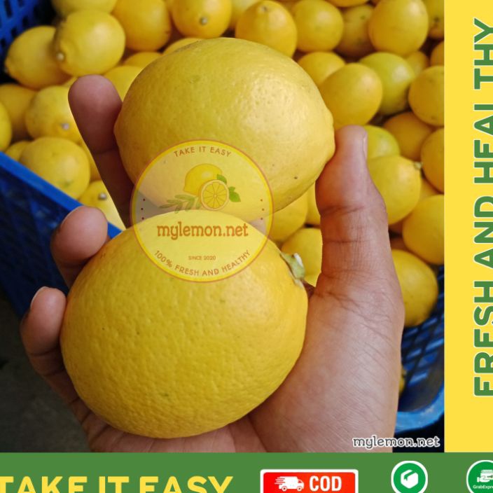 

STWT6397 [PROMO SALE!!!] Lemon California Fresh 1 Kg / 1000 gram Isi 8-13 | Cocok Untuk Infused Water | [MYLEMON.NET]