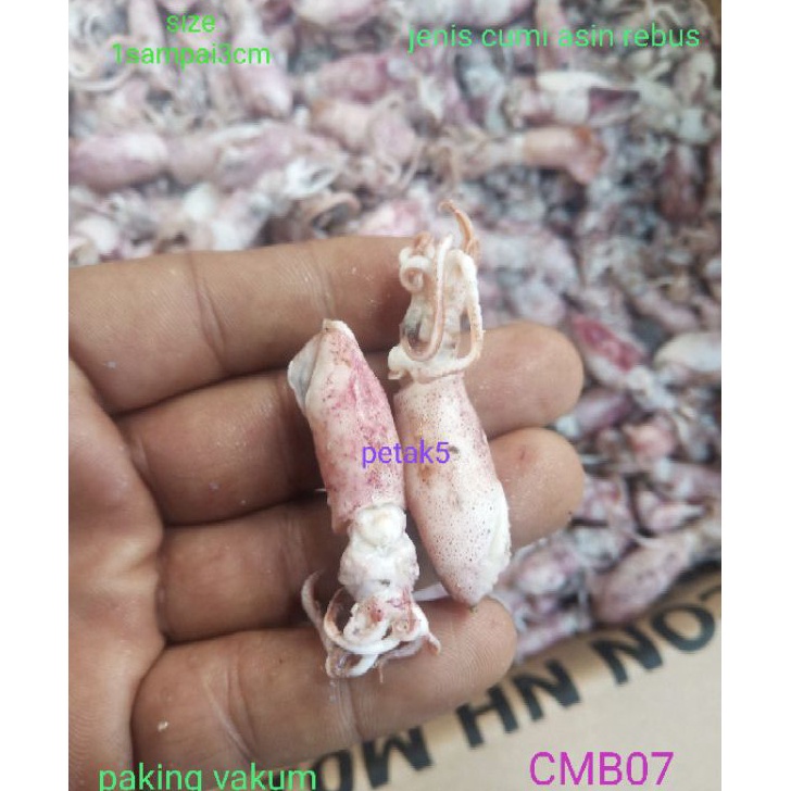 

LYTS9743 5.5 COD Cumi asin beby 1kg/ cumi asin baby/cumi asin rebus/cumi asin kecil