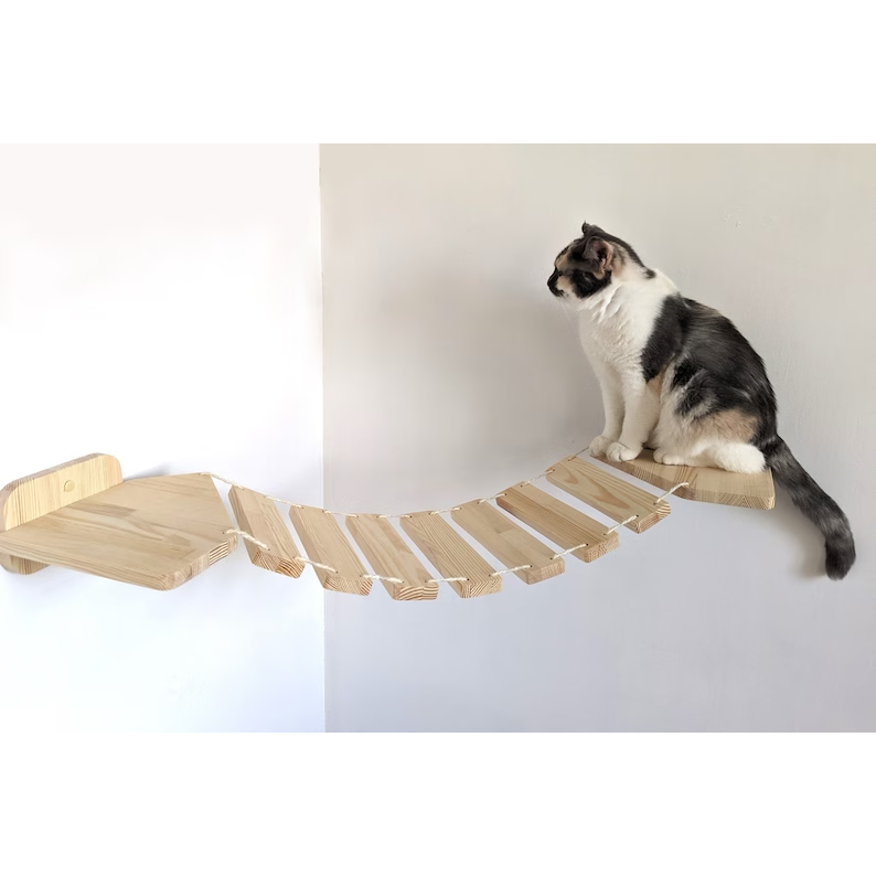 Jembatan Kucing Sudut Dari Kayu