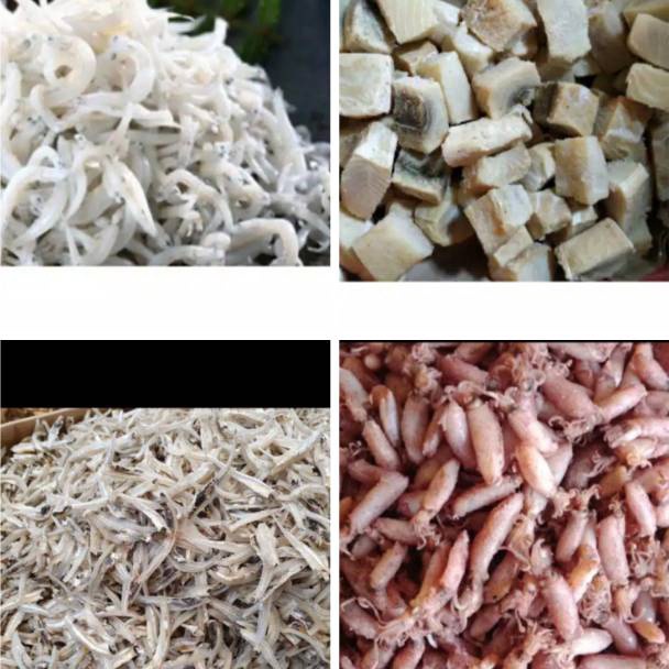

WGKT0804 【FSASH SALE】 Ikan Asin Jambal Roti / Peda Merah / Cumi Asin / Ebi / Teri Nasi Medan / Teri jengki
