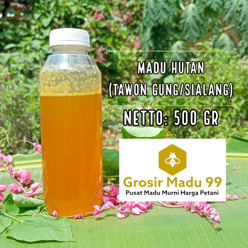 Madu Hutan Liar Tawon Gung/Sialang Asli Murni 100% 500gr 500ml