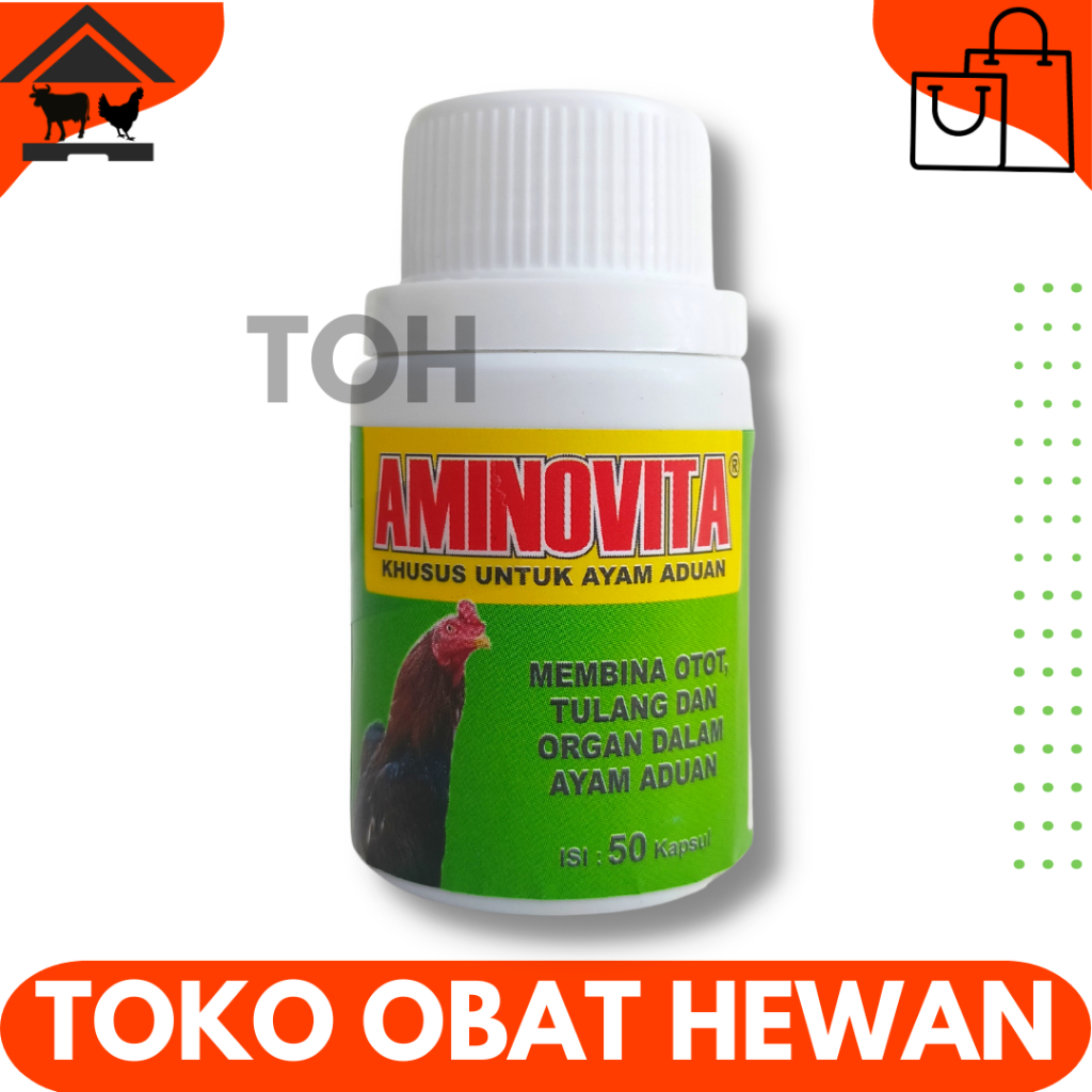 AMINOVITA 50 KAPSUL - Obat Ayam Aduan Penguat Otot Tulang & Meningkatkan Kesehatan Ayam Petarung