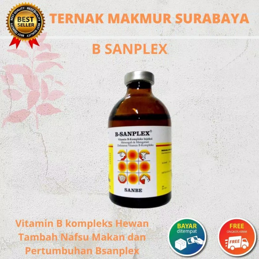 B Sanplex 100ml