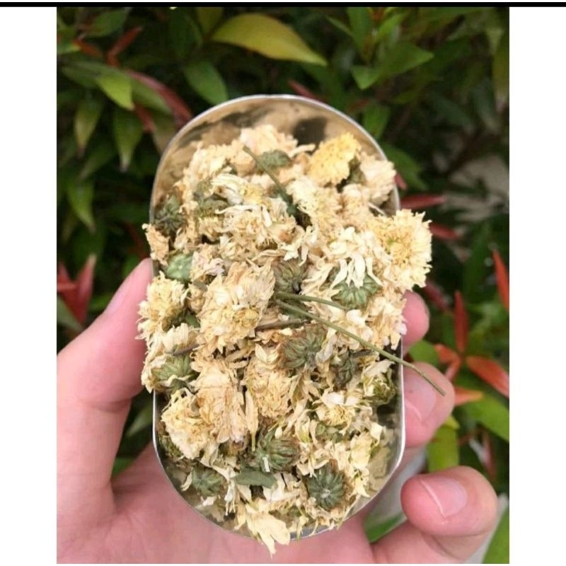 

White Chrysantheum 5gr