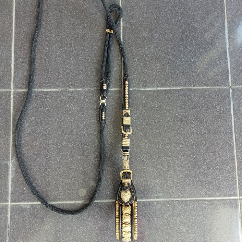 Kala Petik Kuning Selayang sambung 1. Tali Anjing Kulit. Dog Collar