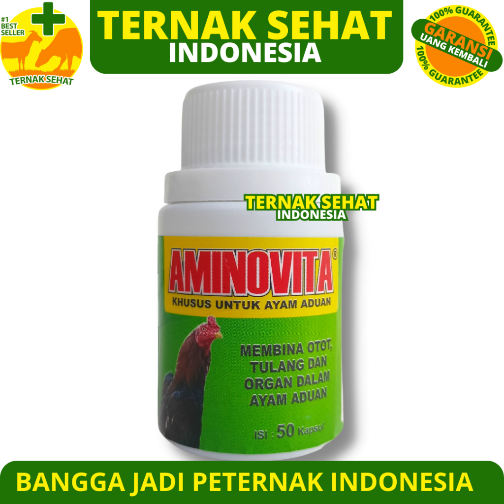 AMINOVITA 50 KAPSUL - Obat Ayam Aduan Penguat Otot Tulang & Meningkatkan Kesehatan Ayam Petarung