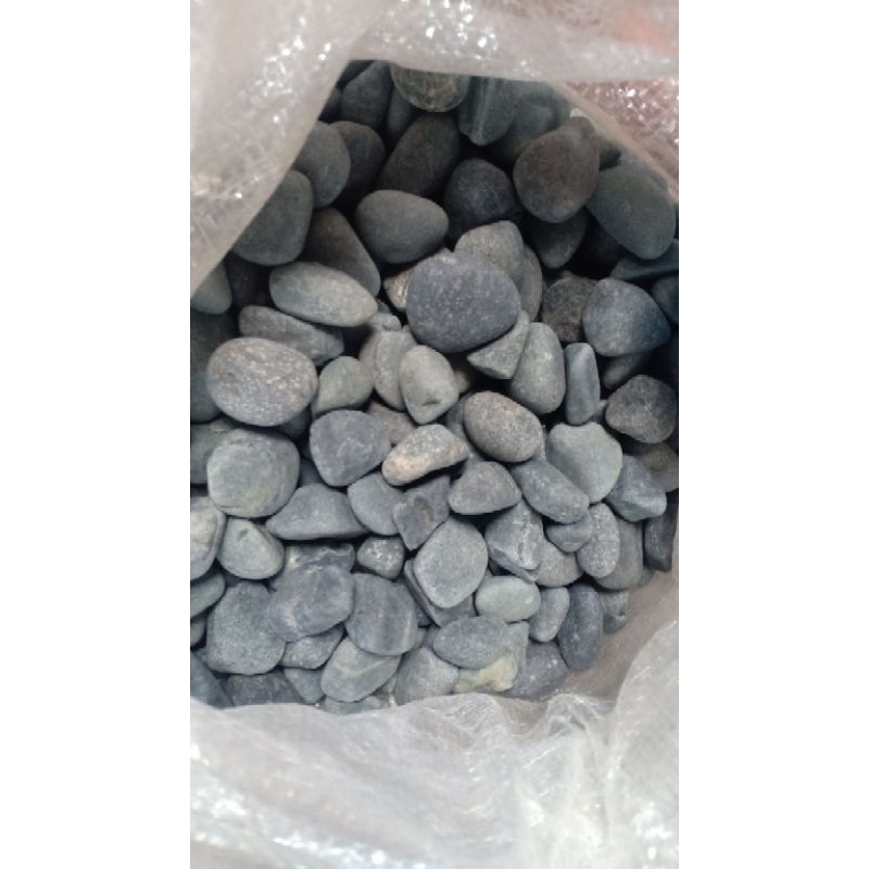 Batu Koral Hitam Bengkulu