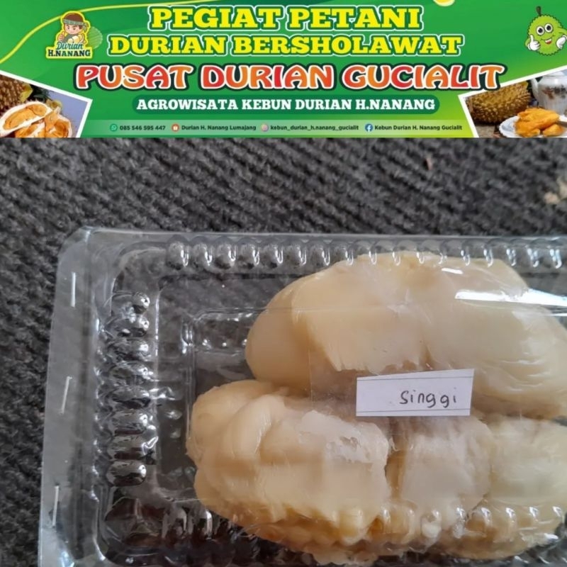 

Durian Singgih (mikaan)