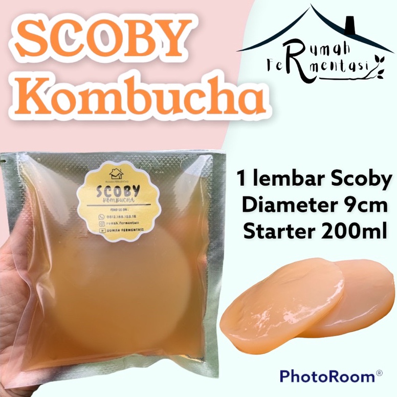 

➼ SCOBY KOMBUCHA / BIBIT KOMBUCHA (KUALITAS PREMIUM) 3448