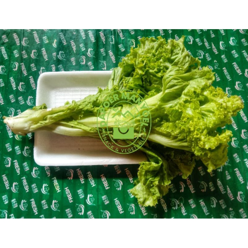 

Sayur Selada