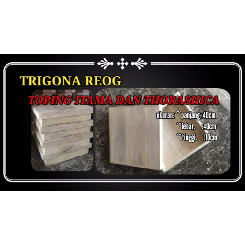 toping untuk trigona itama/ thorasika