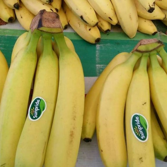 

modelTipe SIT884 Buah pisang Sunpride fresh 1kg