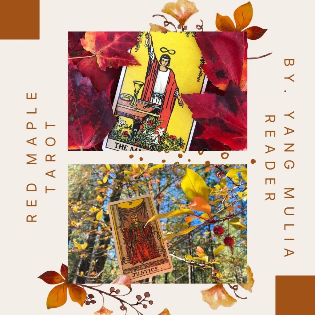 Baca Tarot Bahasa Indonesia Tarot Reading 4-6 kartu