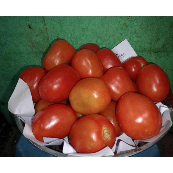 

modelTipe HNV011 TOMAT MERAH FRESH PER 1 KG