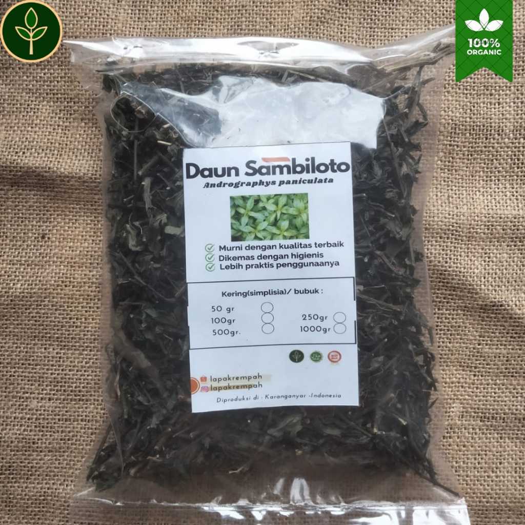 

Daun Sambiloto Kering/Andrographys paniculata