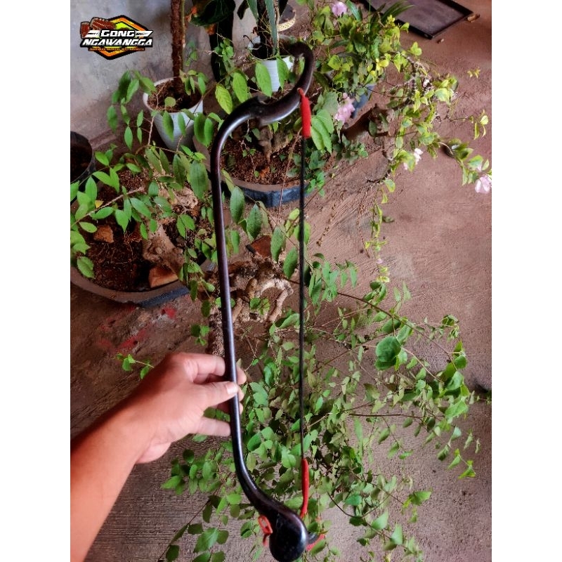 Kosok Rebab buntut jaran(ekor kuda)