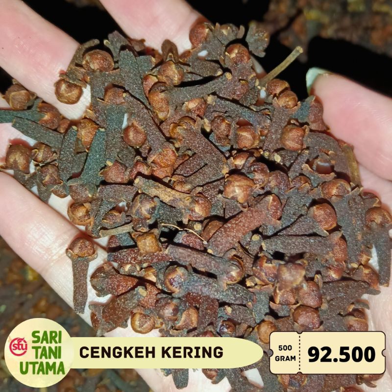 

500gr Cengkeh Kering Bumbu Dapur Rempah Murni Asli