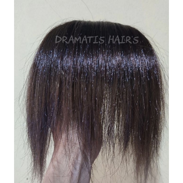 B!g Sale ABS Sanggul Sasak Bali Untuk Tambahan Asesoris Kecantikan Rambut Wanita Dan Mempertebal Tam