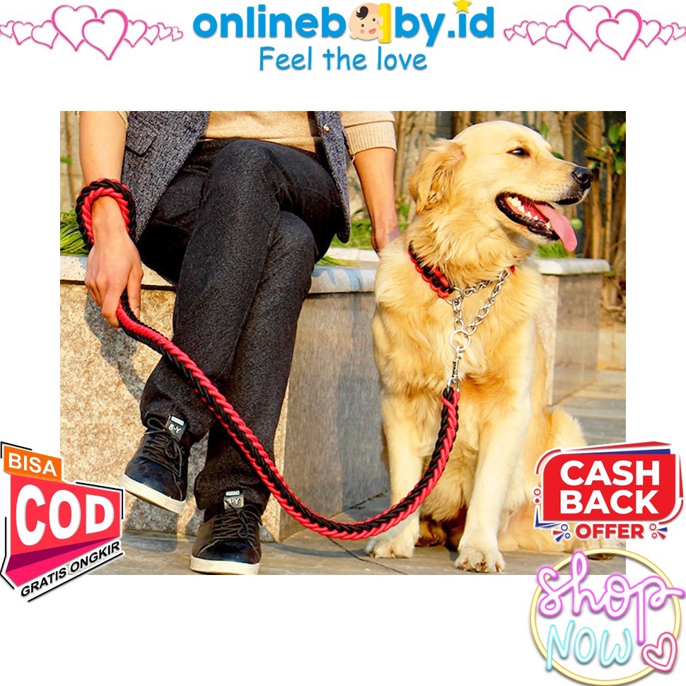 MURAH MERIAH Dog Walking Rope Nylon Tali Tuntun Anjing Besar Sedang Kecil Pitbull Golden Dog Pet Lea