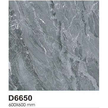 Granit Torch D6650 60x60cm Glazed Polished