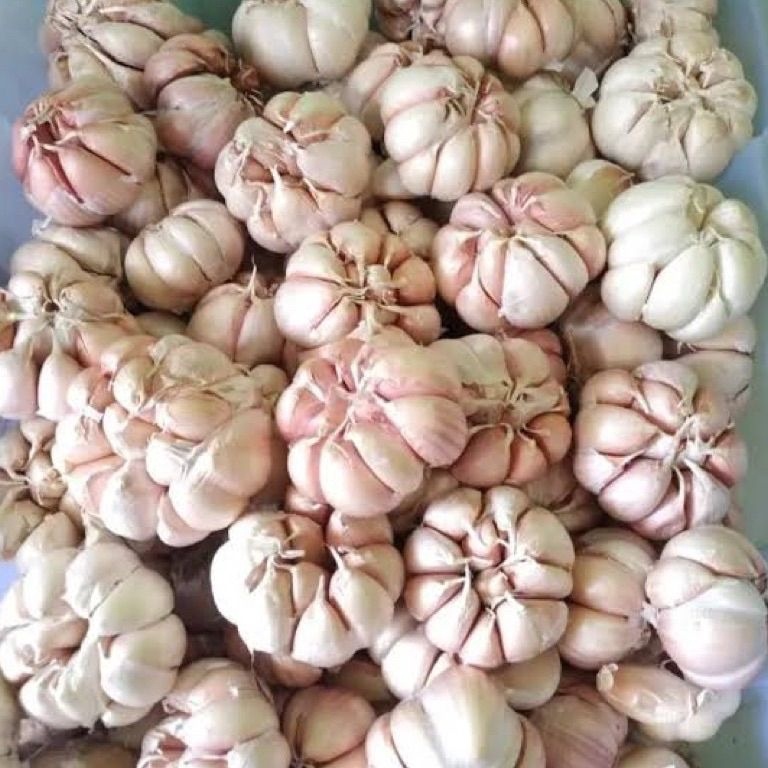 

34 BAWANG PUTIH KERING KEMASAN 500Gr Harga Murah ＾0＾