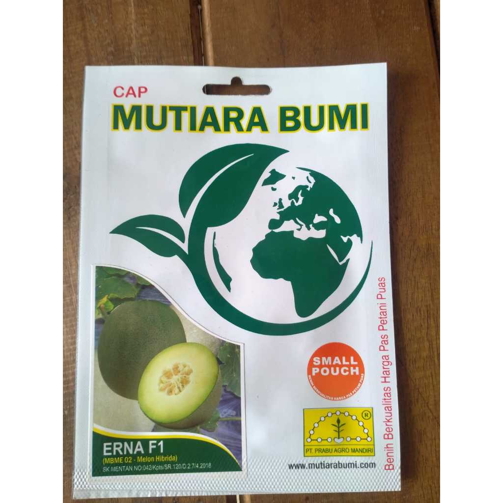 

melon erna/mutiara bumi