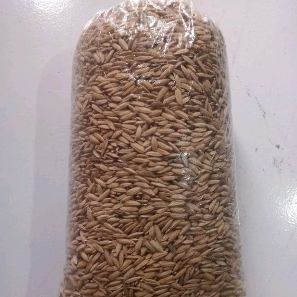 Gabah Padi Lokal Beras Merah 1000 gr