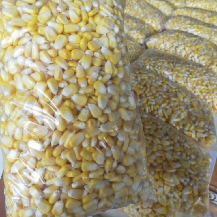 

[KODE PRODUK P0GQ79196] jagung pipil manis 1 kg