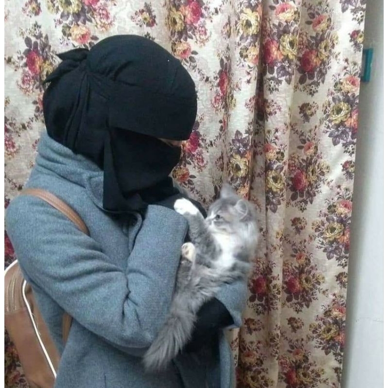 cadar mata MINI PONI panjang 25 cm jetblack bandana keras ped