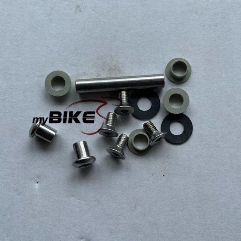 Polygon Rayz Linkage Bolt set