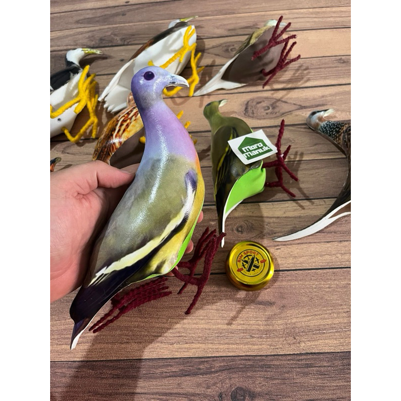 Decoy Burung Punai Gading Betina - Jontrot Burung Punay gading - Patung Jontrot Burung Punai Gading