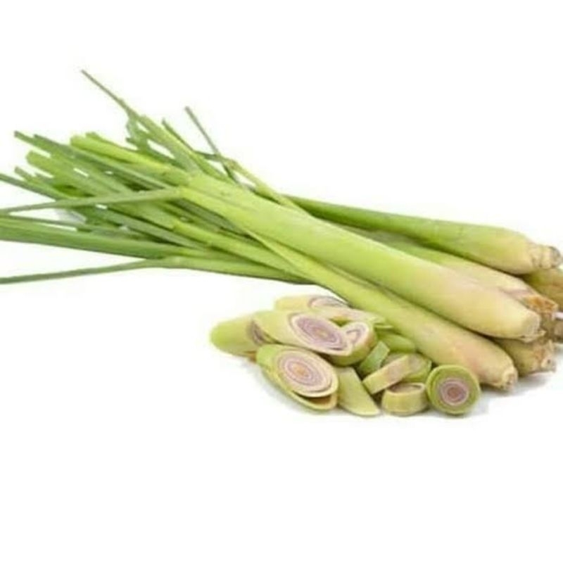 

BATANG SEREH SEGAR NETTO 200 GR