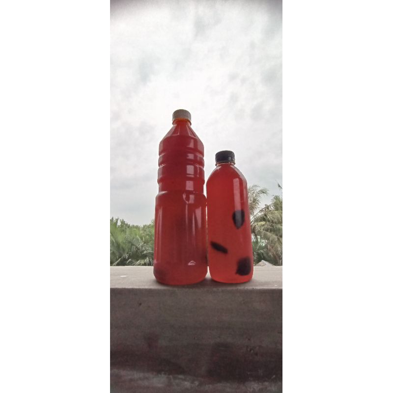 

Sirup Kietna Kiamboi Homemade By Madamee