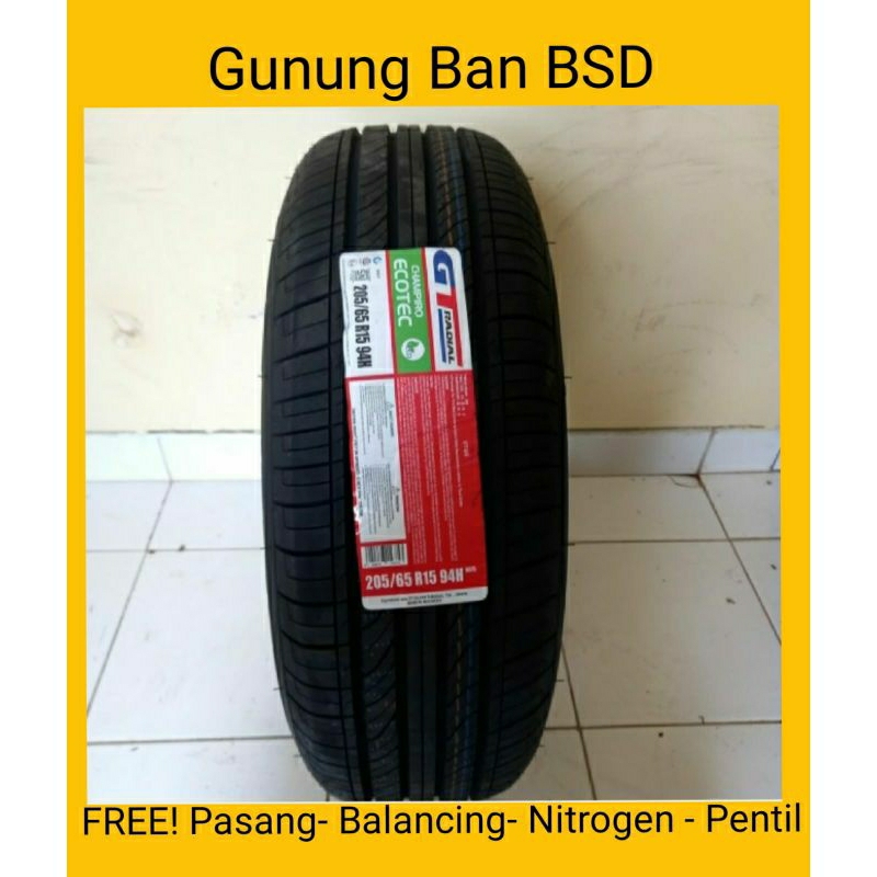 GT Champiro Ecotec 205/65 R15
