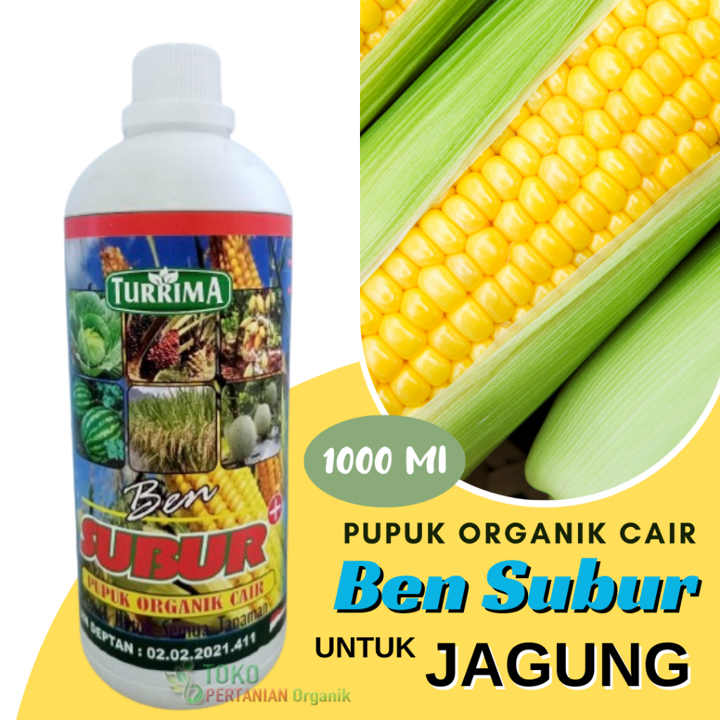 pupuk cair untuk jagung, POC Ben Subur 1 Liter tanaman Jagung, pupuk jagung masa pertumbuhan