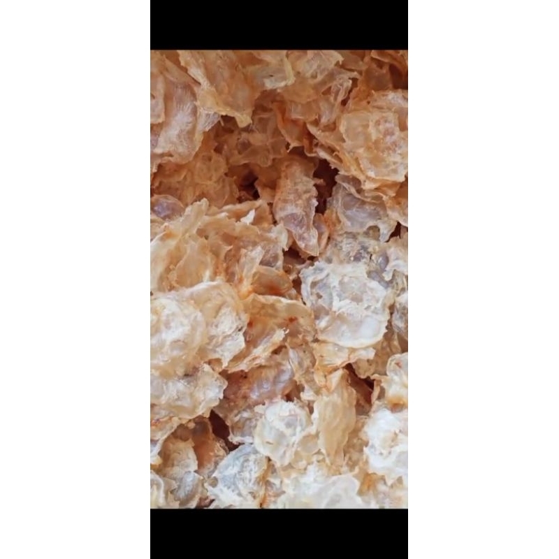 

gelembung ikan manyung/yi phiau/hopiau 100 gram