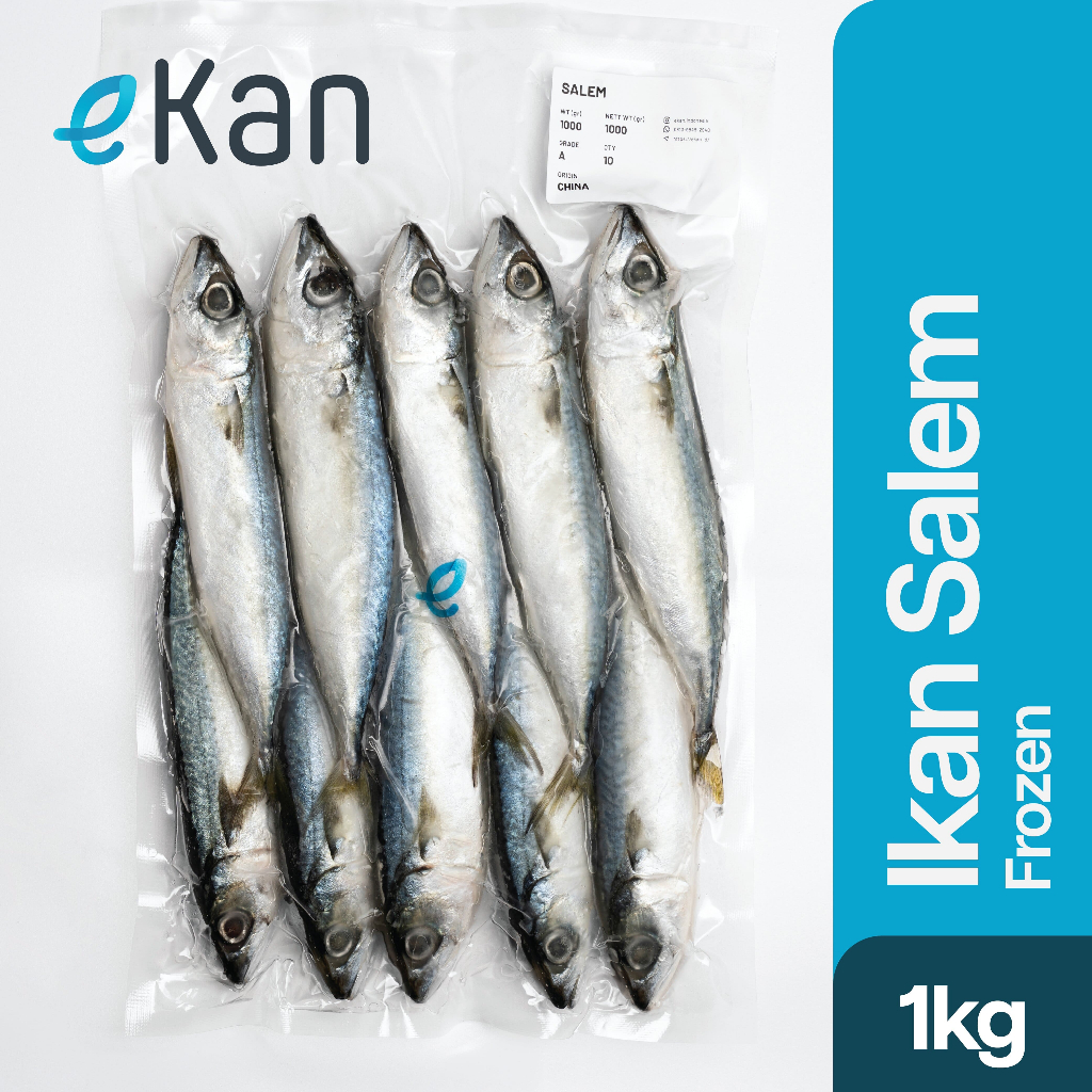 

Ikan Salem IQF Frozen 1 Kg