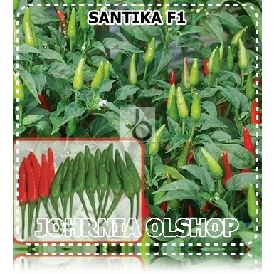 Johrnia 25 Benih Biji Cabe Rawit SANTIKA F1