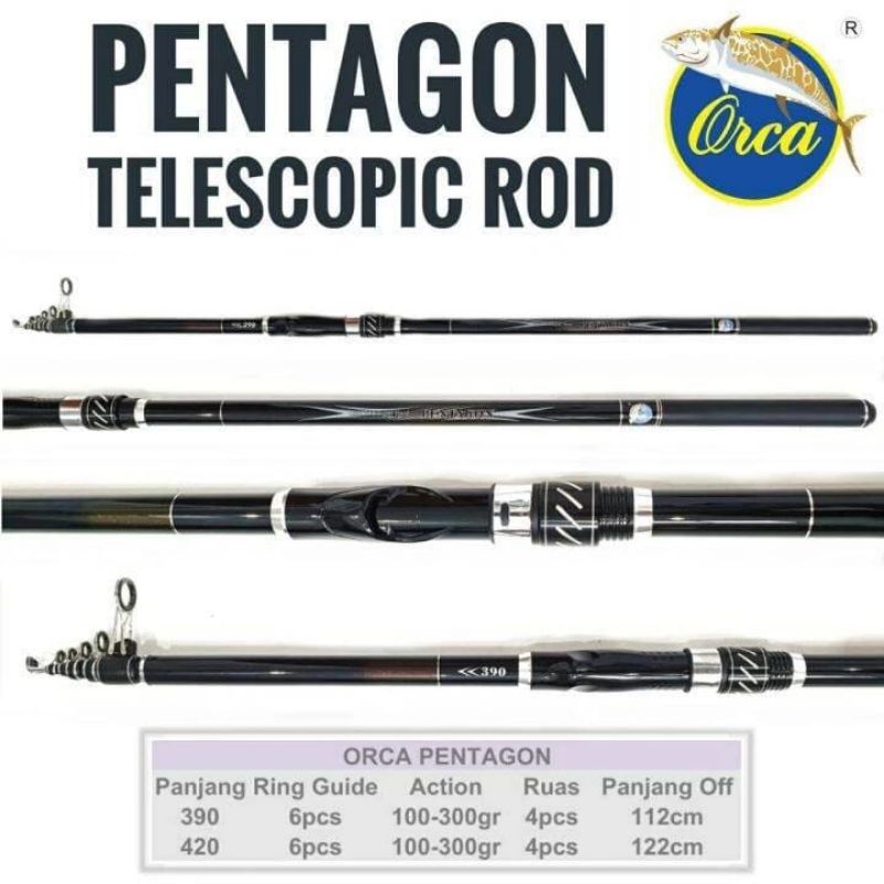 Joran surf orça Pentagon 420