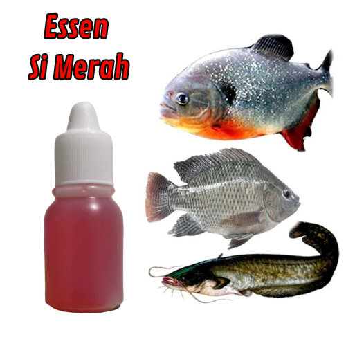 Essen Merah China Essen Merah Ajaib Essen Semua Jenis Ikan Essen Khusus Cacing Essen Ikan Lele Nila 