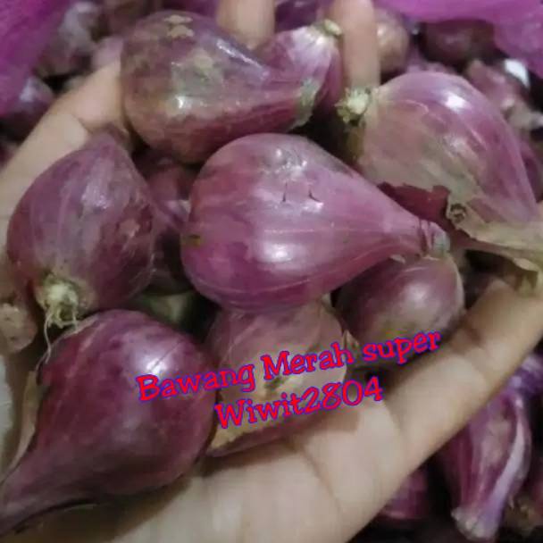 

[Produk YA40] Bawang Merah Brebes Super ukuran besar 1kg m9m9y