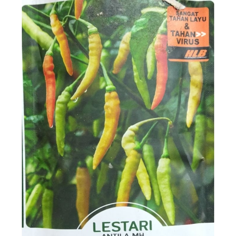 50 Butir BENIH CABAI RAWIT LESTARI ( Kemasan Repack  )