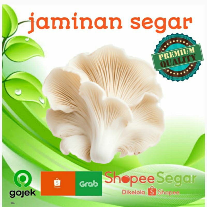 

jamur tiram 250gr