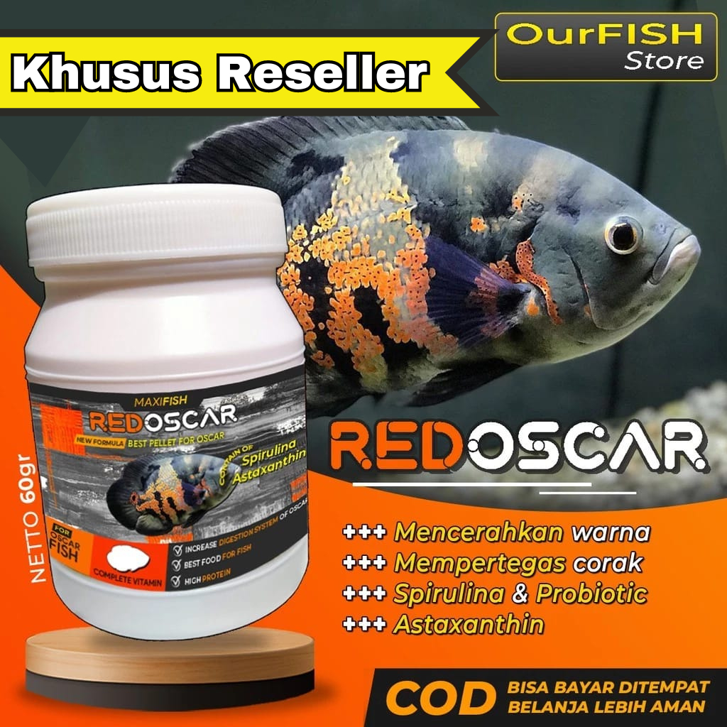 OURFISH - Reseller Pelet Makanan Pakan Ikan Oscar Premium Red Oscar