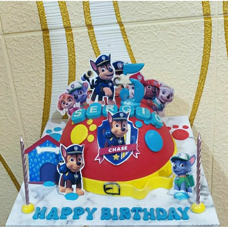 

Pinata Cake Paw Patrol2